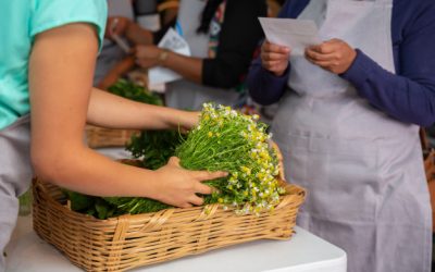 El aumento de las ventas en el mes de junio no refleja la realidad del comercio minorista