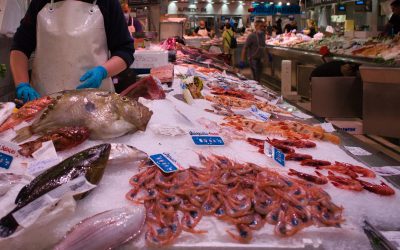 El Mercado Central se suma a la campaña ‘Més fresc, més cool’, con su amplia oferta de pescado de lonja