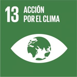 ACCIÓN POR EL CLIMA
