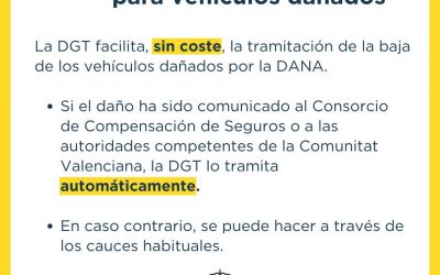Tráfico simplifica los trámites para los afectados por la DANA