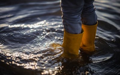La Generalitat aprueba el Plan Director ante Catástrofes Naturales e impulsa una Guía Ciudadana para reforzar la prevención