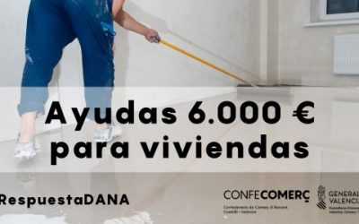 La Generalitat concederá ayudas directas de hasta 6.000 euros a los afectados por la DANA para adquirir bienes de primera necesidad