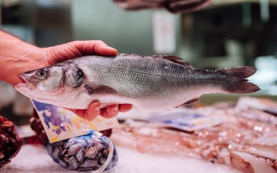 El Mercat Central convida als més xicotets a participar en un concurs dibuixant la mar i els seus productes