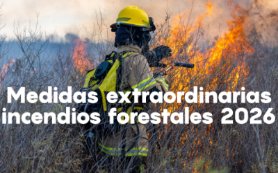 Incendios forestales: nuevas medidas laborales para empresas, autónomos y personas trabajadoras